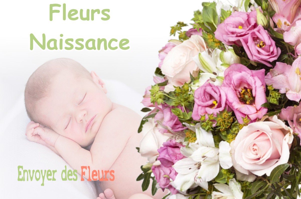 lIVRAISON FLEURS NAISSANCE à MOUSTAJON